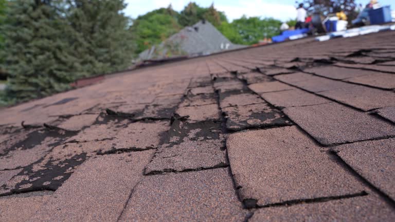 Best Cold Roofs  in Phelan, CA