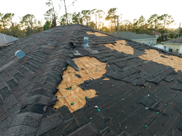 Best Solar Panel Roofing Installation  in Phelan, CA